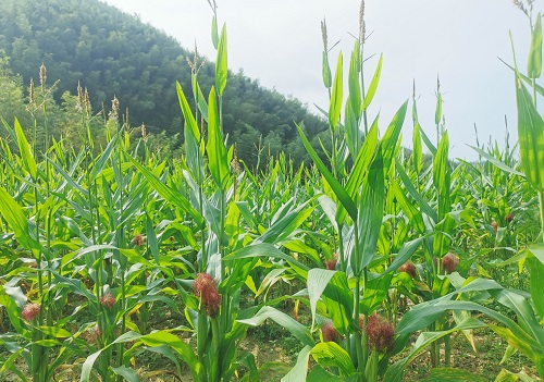 1669615751657941.png image.png