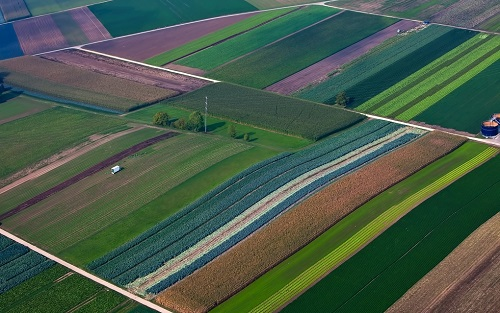 1675059320131196.png image.png