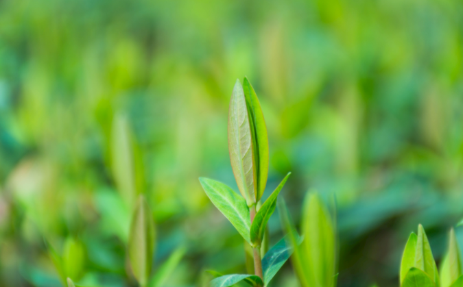 1679899038409070.png 1679899038409070.png